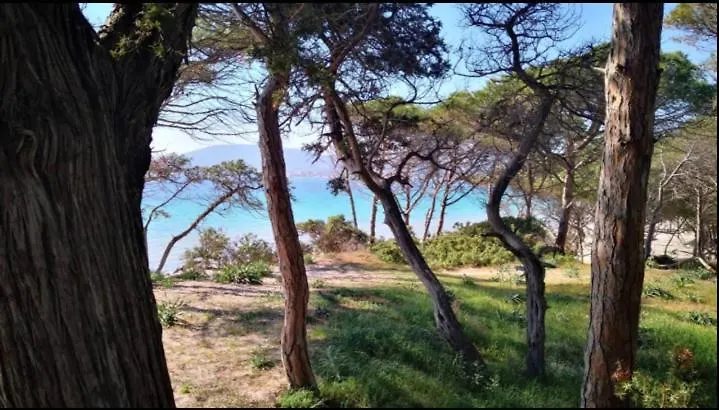Domo Fiorita Apartment Alghero