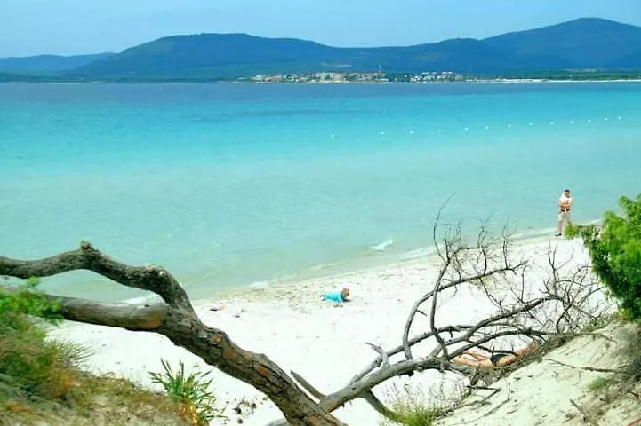 Domo Fiorita Apartment Alghero Italy